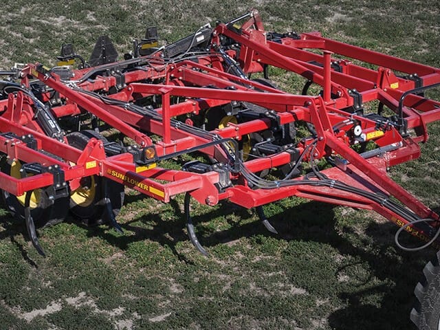 Sunflower  2530-19