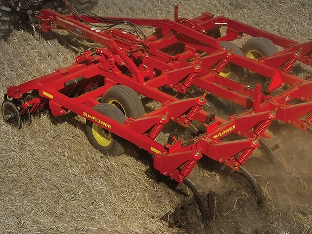 Sunflower  4213-11