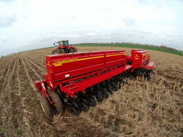 Sunflower  9531-40